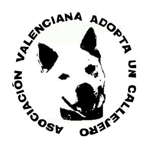 ASOCIACION VALENCIANA ADOPTA UN CALLEJERO