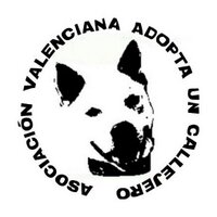 adoptacallejerosvlc (@adoptavalencia) 's Twitter Profile