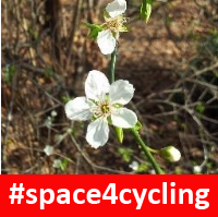 nbMiracle's profile picture. The smallest liveaboard in London. Tiny Garden.