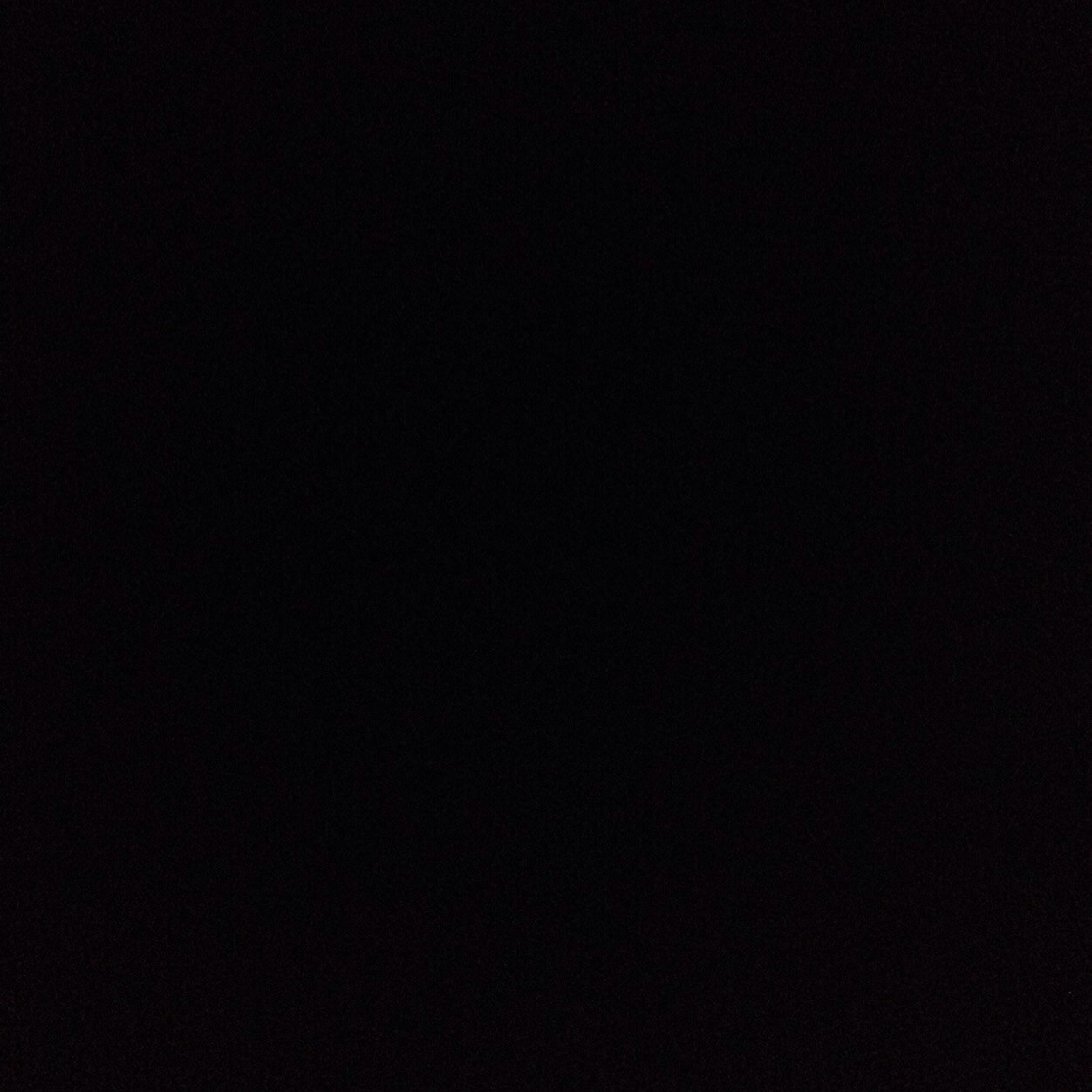 Chan_275's profile picture. 