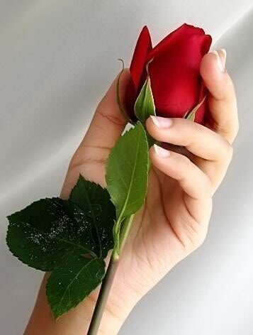 மகிழ்ச்சி