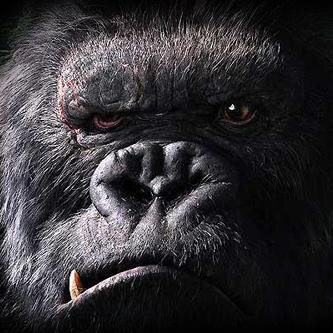 lkingkk1's profile picture. 