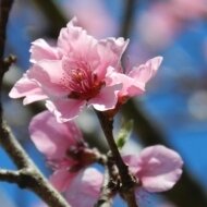 silver7121's profile picture. 