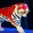 glasgow tiger