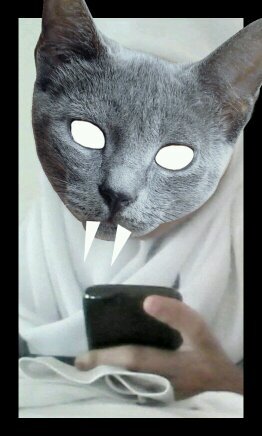 mayangariana12's profile picture. 