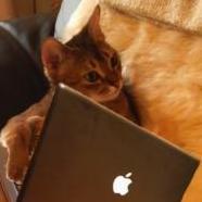 leotwe's profile picture. にゃぁ～☆