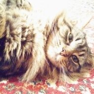 a1049603's profile picture. 