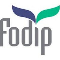 Fodip (@fodip) 's Twitter Profile