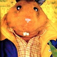 Errolthehamster (@errolthehamster) 's Twitter Profile Photo