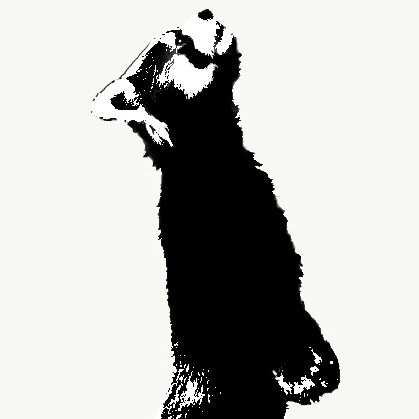 matteotricerri's profile picture. 