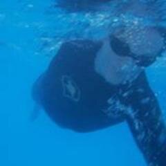 MattJKirby1's profile picture. 