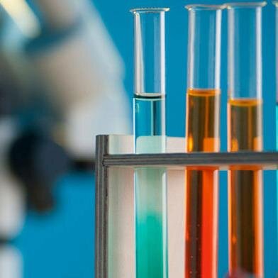 BellaSanders4's profile picture. 