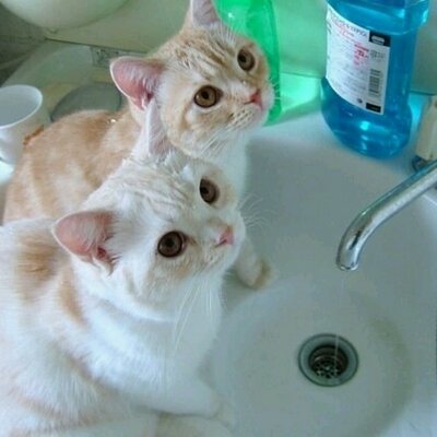 ゆっち