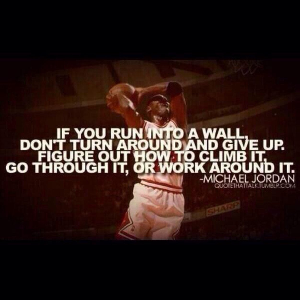 j_plommy's profile picture. Follow my new account - JackPlom_