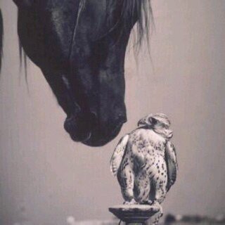 ب الاسَلوب الجٌمَيل كِل شيء 
        سَ يَكوٌنَ افضَل ..♡
