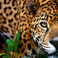 Red Bone Girl ೈ (@bjssara) 's Twitter Profile