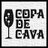 CopadeCava's profile image