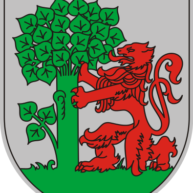 ZibakcijaLIEPAJ's profile picture. 