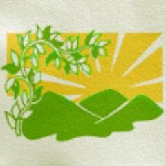 Importers & exporters of the finest quality herbs, spices & botanical products since 1976 Inc organic, Fairtrade, herbal tea's & oils
