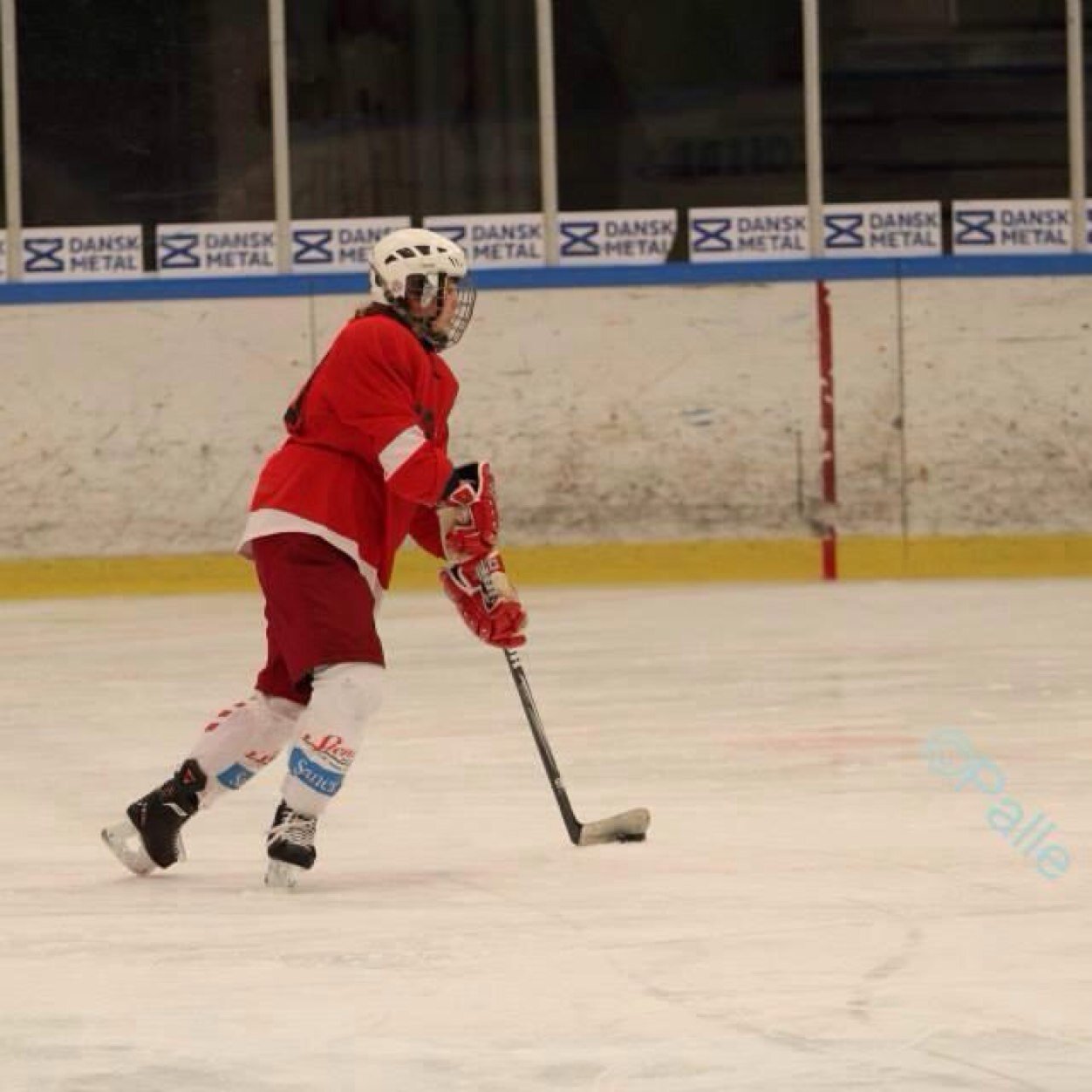 Spiller ishockey i Aalborg og frederikshavn white hawks