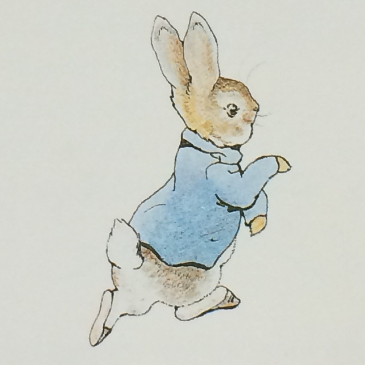 ピーターラビットbot Bot Rabbit Twitter