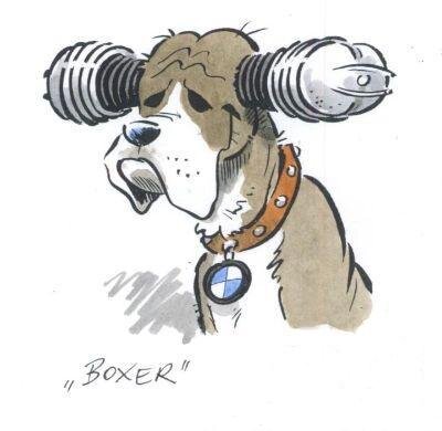 boftt's profile picture. 