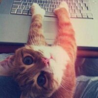 ๐ฉ๐๐๐๐๐๐ ๐ดโโ ๏ธ (@usr0000) 's Twitter Profile