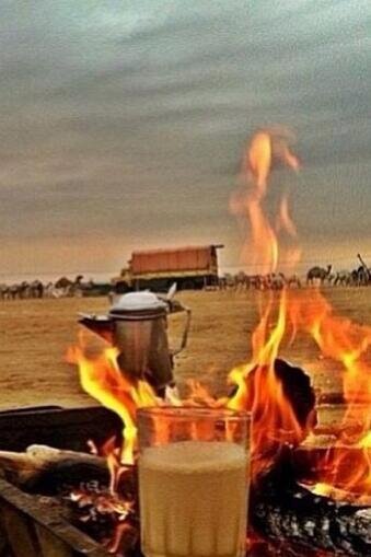 loacker_999's profile picture. يااالبيه