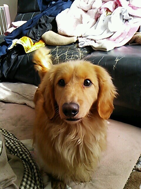 natu723reo1's profile picture. 