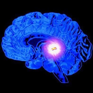 annaonz's profile picture. 