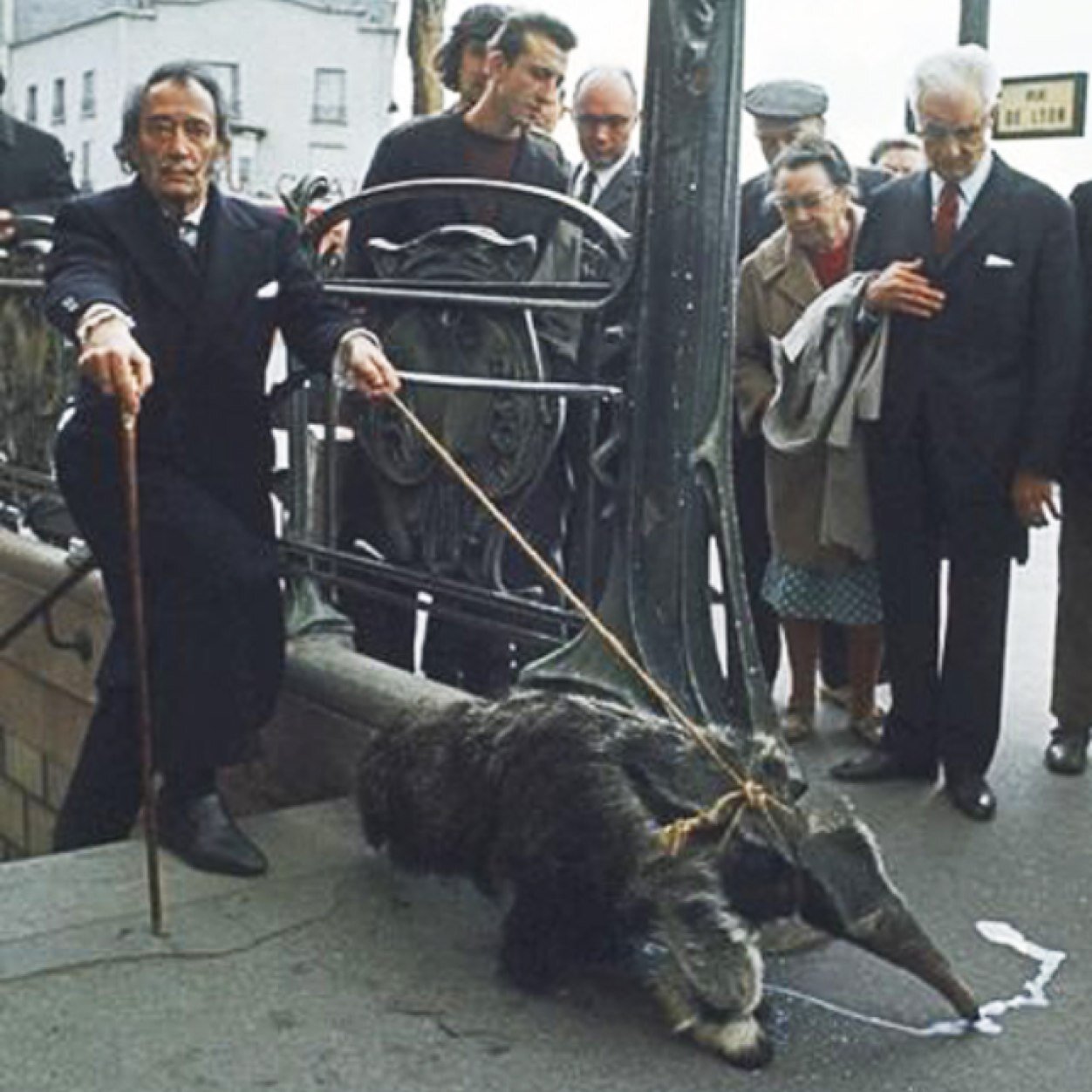 yrsapetersson's profile picture. Instabil