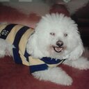 ROSA  PELLOT - @_337659076324 - Twitter