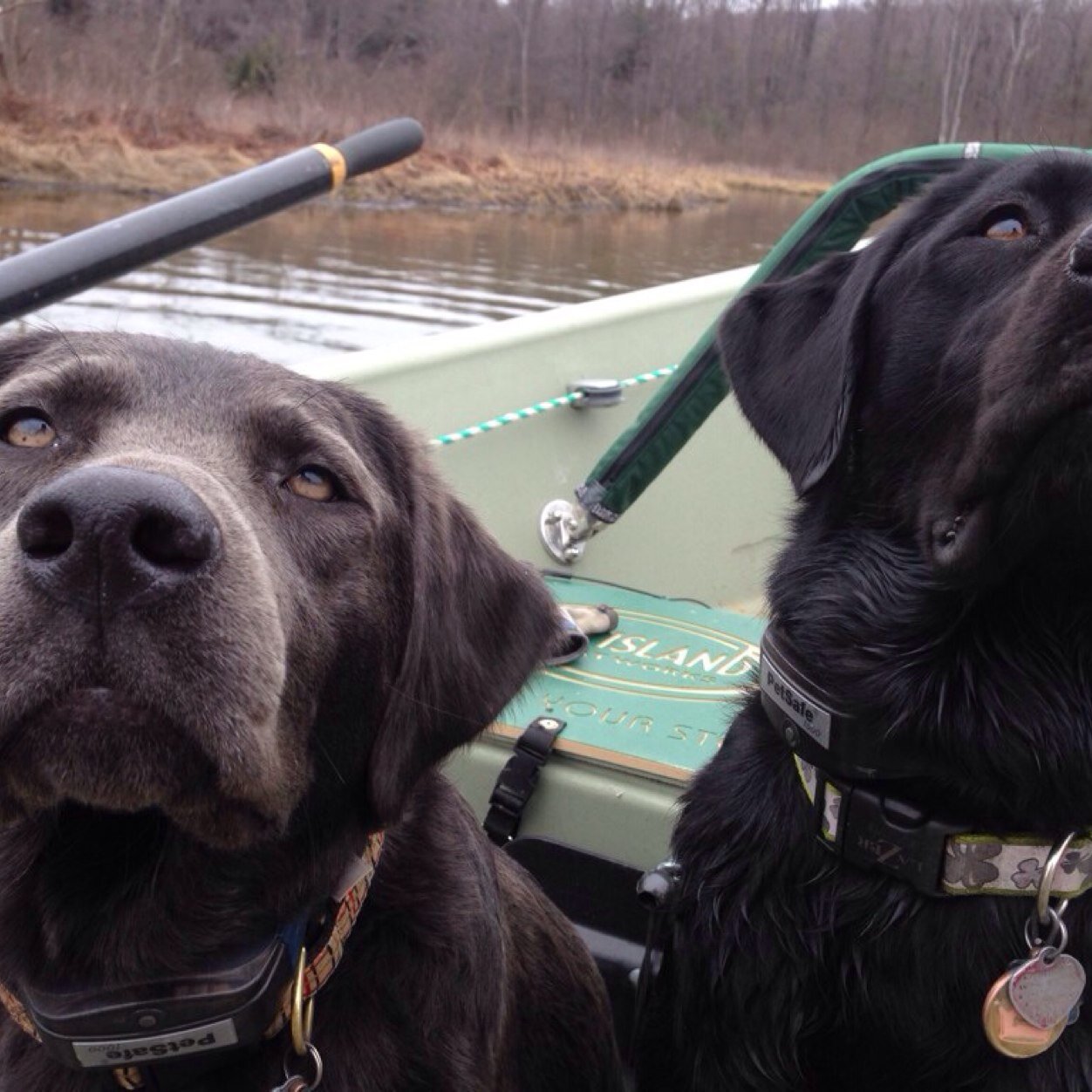 I can lift and hold heavy things over my head.  Fly Fish like an old man, Shoot as much as I can.  Trying to be the person the dogs in my life think I am.