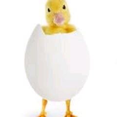 MrsAsLittlFaces Profile Picture