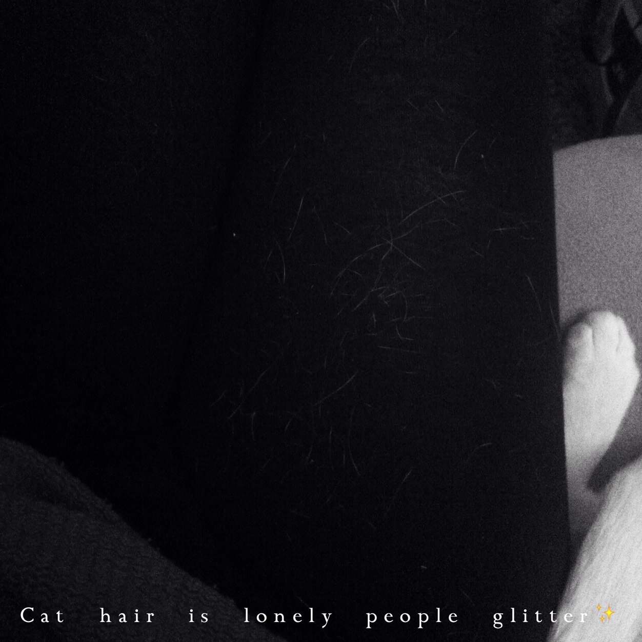 FieryShayma's profile picture. I lost my bio....