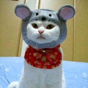 エロ