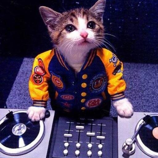 Mieze1984's profile picture. 