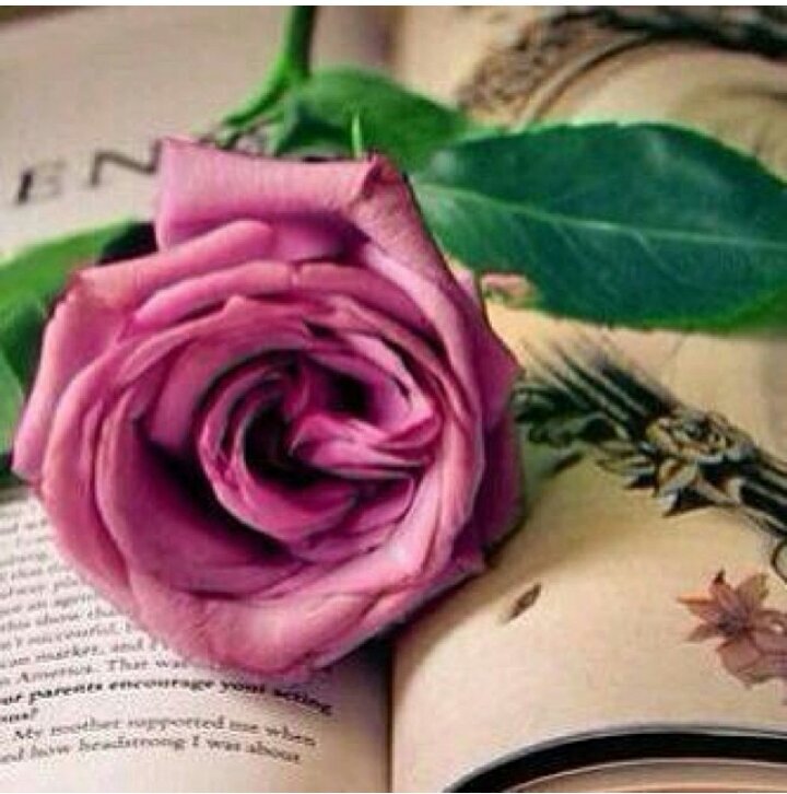 عساني فدوة لعيوونك يابوي ♡♡