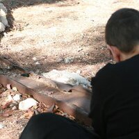 Devora (@inbeautywewalk) 's Twitter Profile