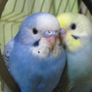 Takumar69's profile picture. 広島市に住むおっさんです。