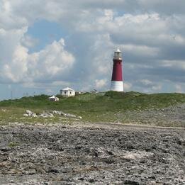cal1634's profile picture. The Bahamas, marine ecology, research