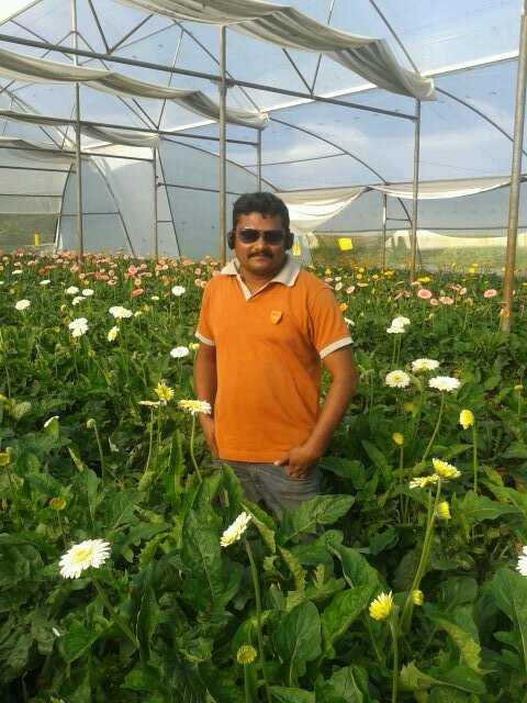 sujayrpatil's profile picture. action