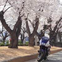 おしょー (@f_osho) 's Twitter Profile Photo