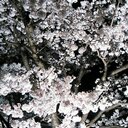 不知火 (@0129388114) Twitter