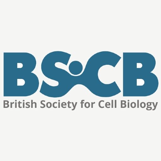 Official_BSCB Profile Picture