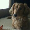 malonlon0216's profile picture. 