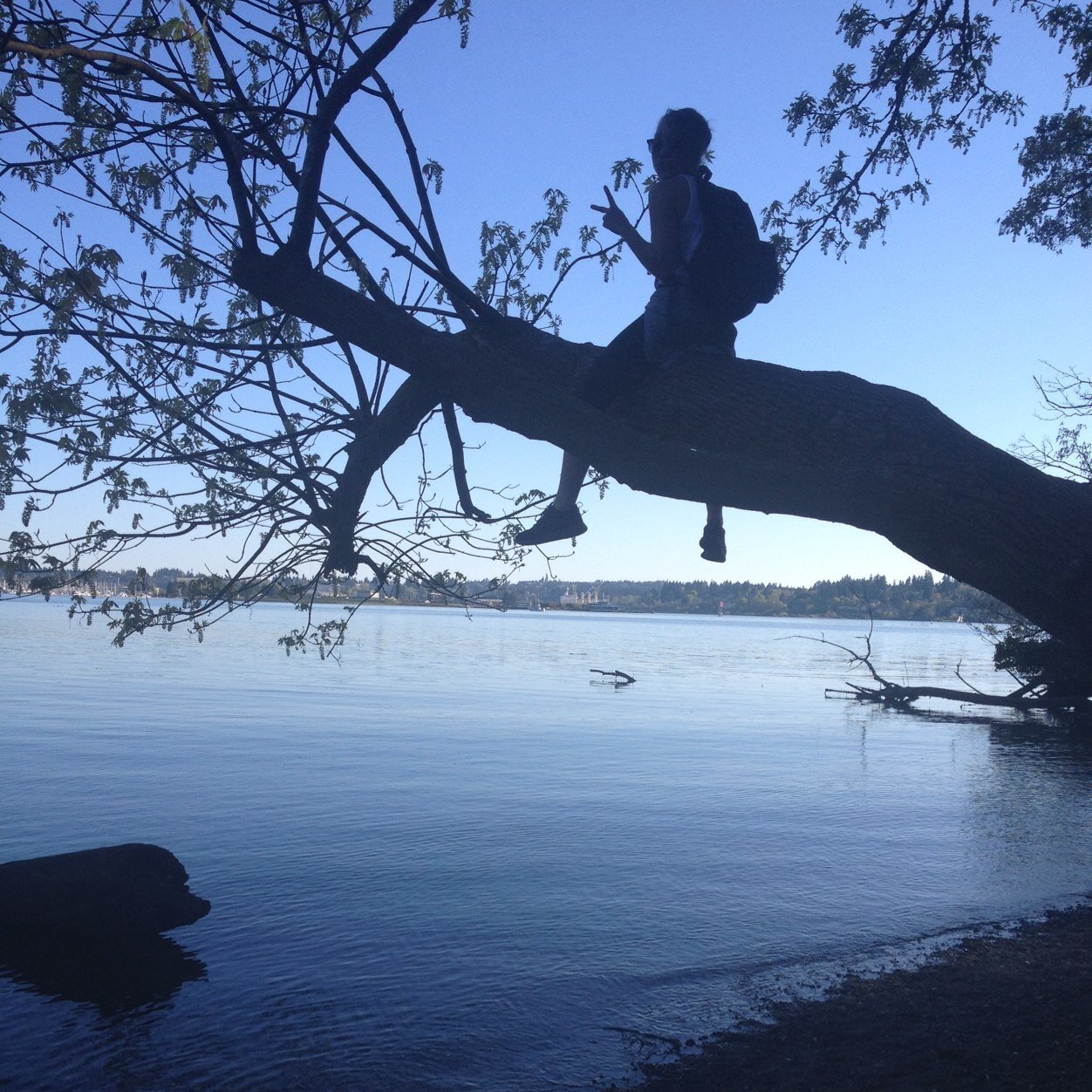 _hammmmm's profile picture. The best love is the kind that weakens the soul.