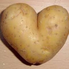 @potatorockingit 's sweet potato ♥ | Sadistic af | I love pandas