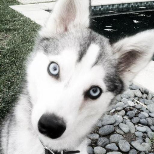 R.I.P Floyd we will LOVE you 4ever  - MileyCyrus