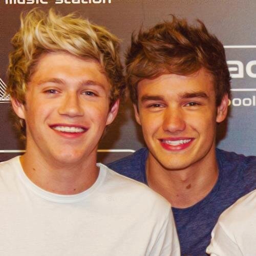 This is a free follow!:) Please follow @futurmrshoranx, I will follow you back if you ask!:)xx